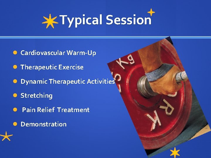 Typical Session Cardiovascular Warm-Up Therapeutic Exercise Dynamic Therapeutic Activities Stretching Pain Relief Treatment Demonstration
