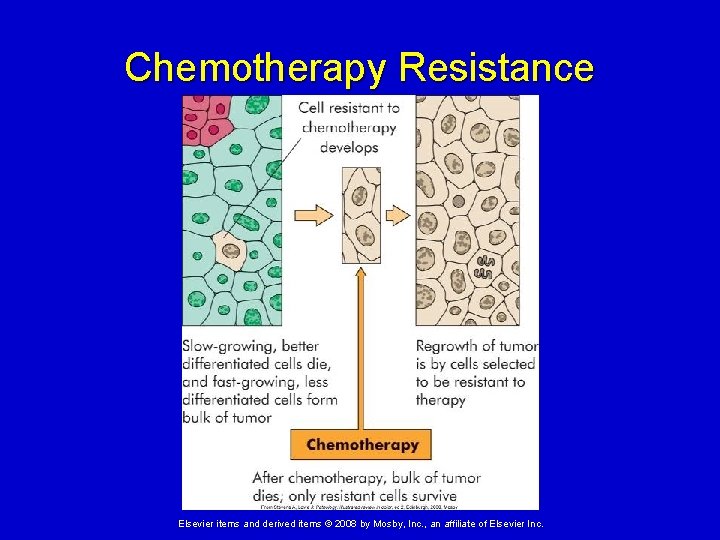 Chemotherapy Resistance Elsevier items and derived items © 2008 by Mosby, Inc. , an