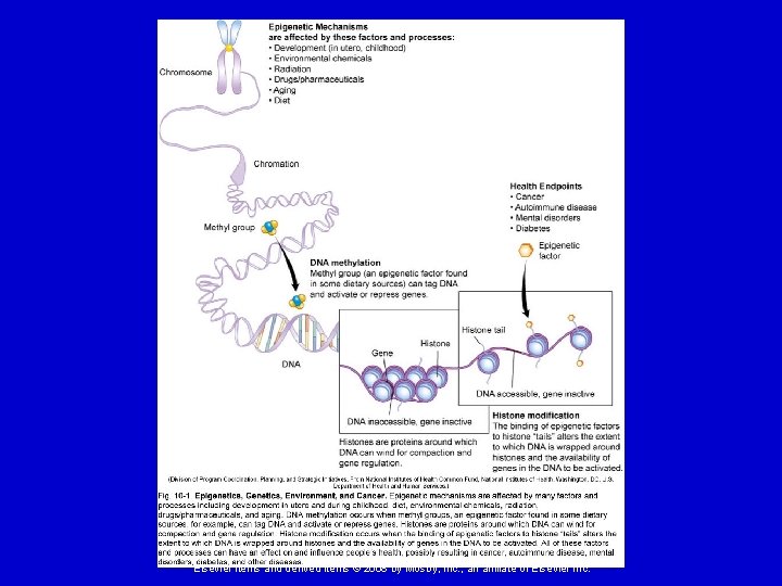 Elsevier items and derived items © 2008 by Mosby, Inc. , an affiliate of
