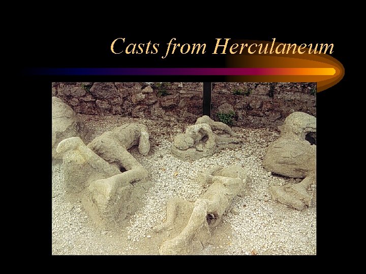 Casts from Herculaneum 