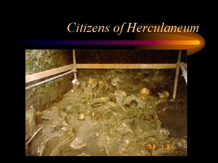 Citizens of Herculaneum 