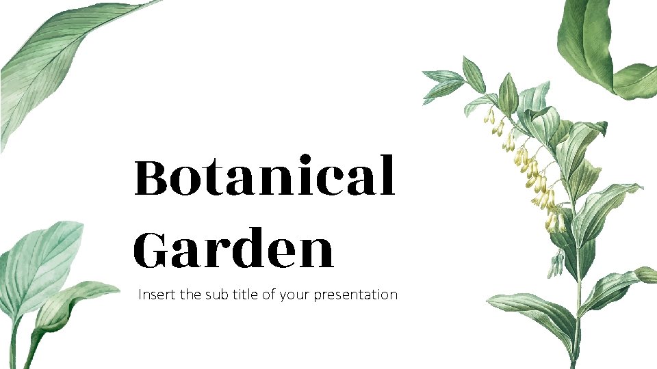 Botanical Garden Insert the sub title of your presentation 