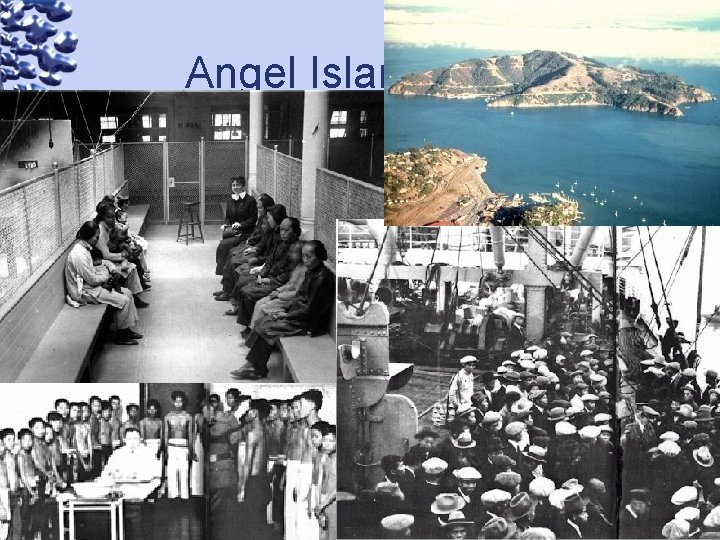 Angel Island Images 