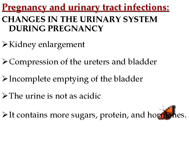 Pregnancy and urinary tract infections: CHANGES IN THE URINARY SYSTEM DURING PREGNANCY Ø Kidney