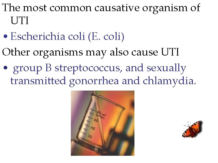 The most common causative organism of UTI • Escherichia coli (E. coli) Other organisms