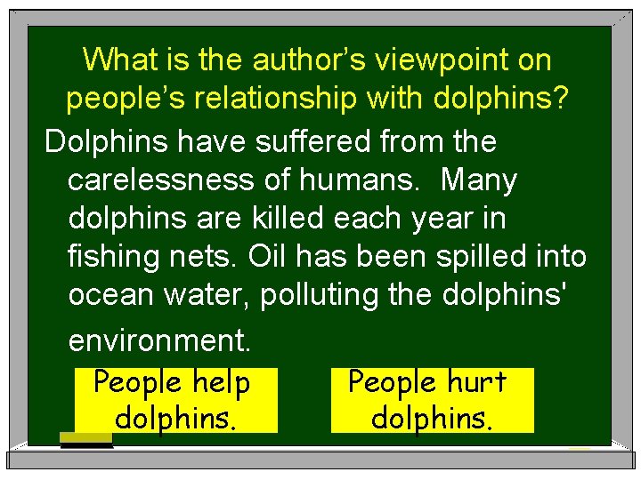 What is the author’s viewpoint on people’s relationship with dolphins? Dolphins have suffered from