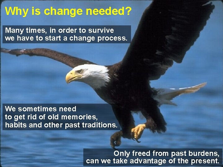 Why is change needed? Many times, in order to survive we have to start