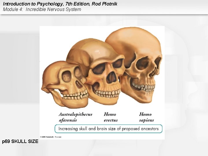 Introduction to Psychology, 7 th Edition, Rod Plotnik Module 4: Incredible Nervous System p
