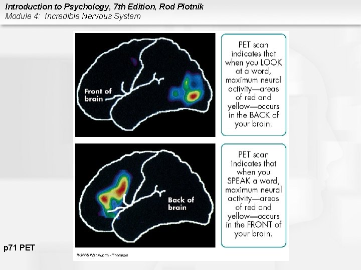 Introduction to Psychology, 7 th Edition, Rod Plotnik Module 4: Incredible Nervous System p