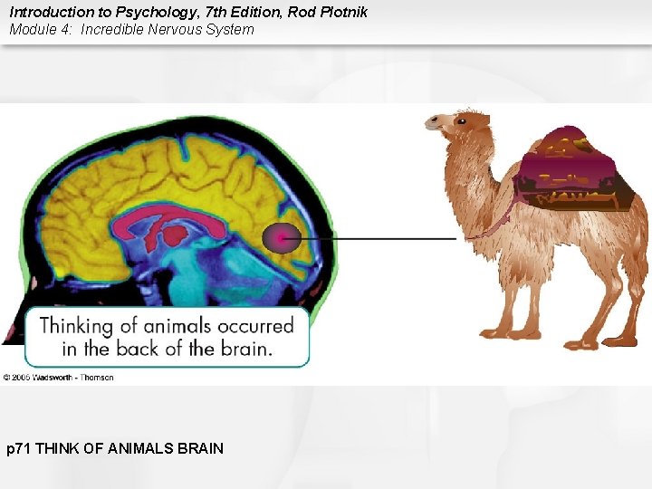 Introduction to Psychology, 7 th Edition, Rod Plotnik Module 4: Incredible Nervous System p
