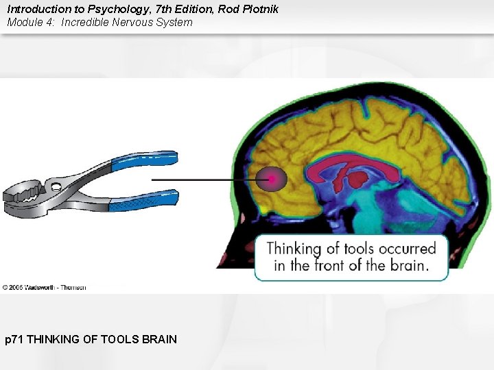 Introduction to Psychology, 7 th Edition, Rod Plotnik Module 4: Incredible Nervous System p