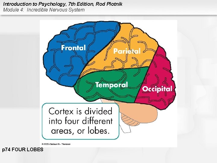 Introduction to Psychology, 7 th Edition, Rod Plotnik Module 4: Incredible Nervous System p