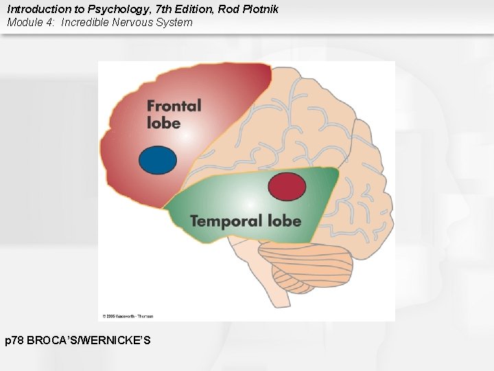 Introduction to Psychology, 7 th Edition, Rod Plotnik Module 4: Incredible Nervous System p
