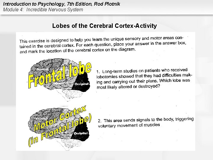 Introduction to Psychology, 7 th Edition, Rod Plotnik Module 4: Incredible Nervous System Lobes