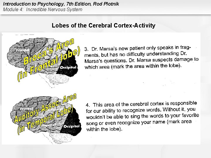 Introduction to Psychology, 7 th Edition, Rod Plotnik Module 4: Incredible Nervous System Lobes
