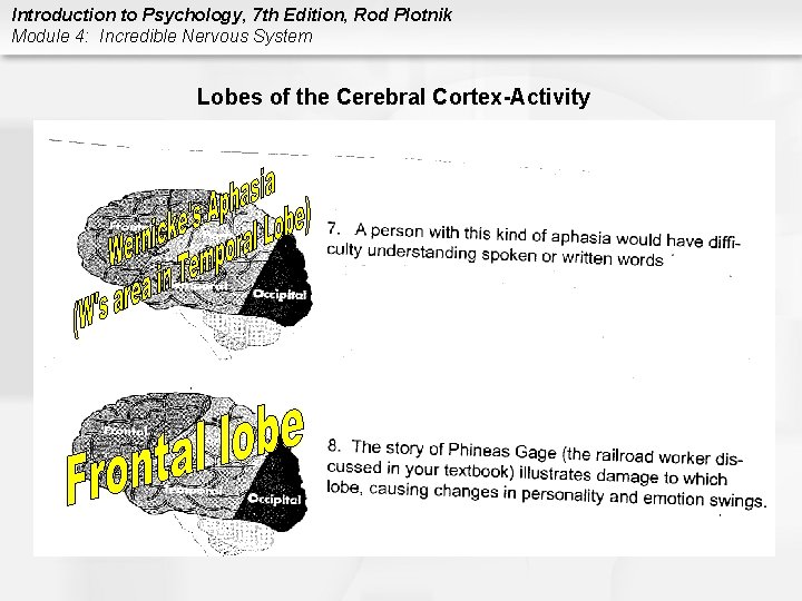 Introduction to Psychology, 7 th Edition, Rod Plotnik Module 4: Incredible Nervous System Lobes