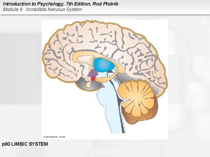 Introduction to Psychology, 7 th Edition, Rod Plotnik Module 4: Incredible Nervous System p