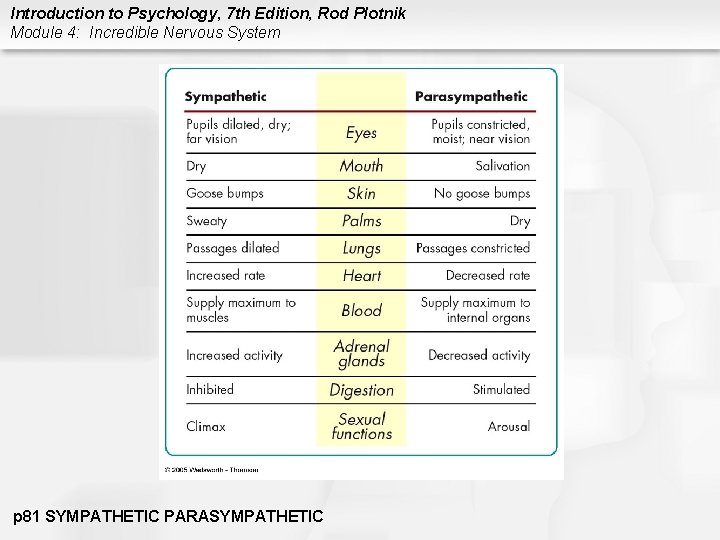Introduction to Psychology, 7 th Edition, Rod Plotnik Module 4: Incredible Nervous System p