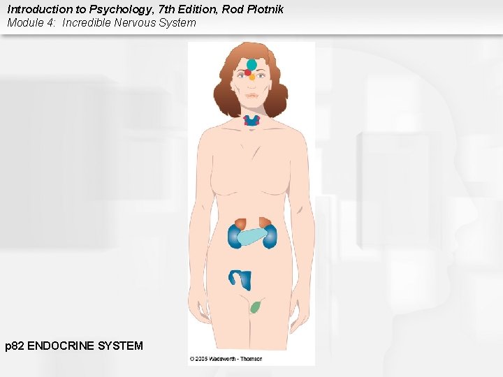 Introduction to Psychology, 7 th Edition, Rod Plotnik Module 4: Incredible Nervous System p