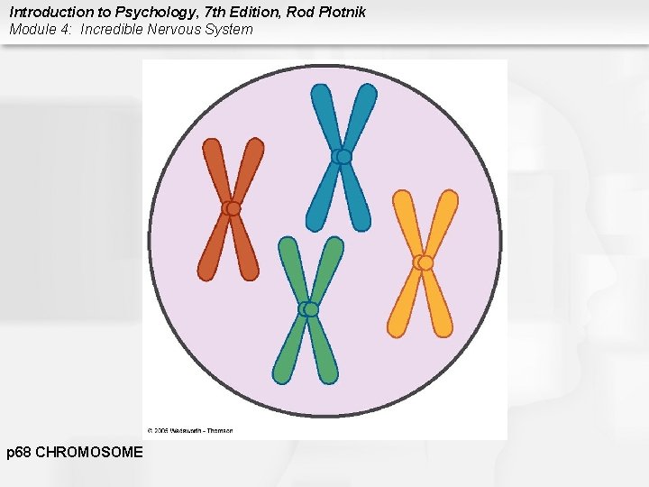 Introduction to Psychology, 7 th Edition, Rod Plotnik Module 4: Incredible Nervous System p