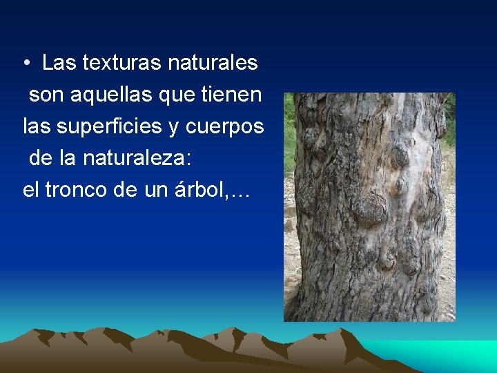  • Las texturas naturales son aquellas que tienen las superficies y cuerpos de