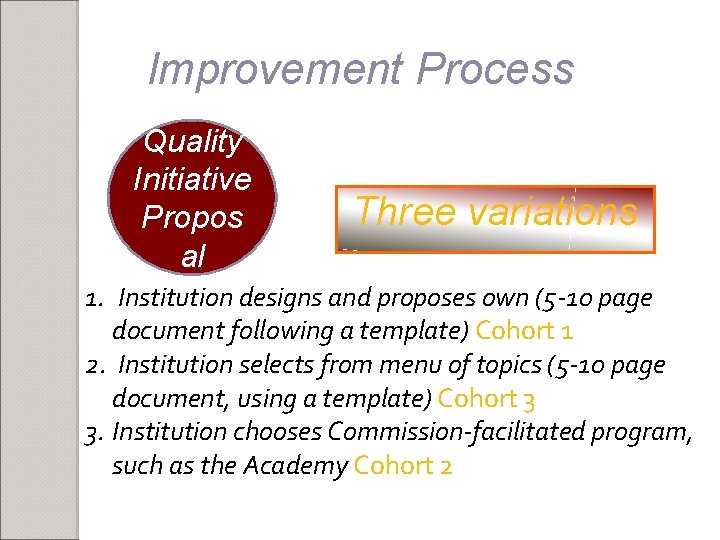 Improvement Process Quality Initiative Propos al Three variations 1. Institution designs and proposes own
