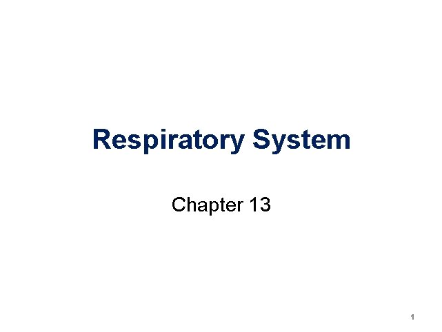 Respiratory System Chapter 13 1 Respiratory System Chapter 13 1