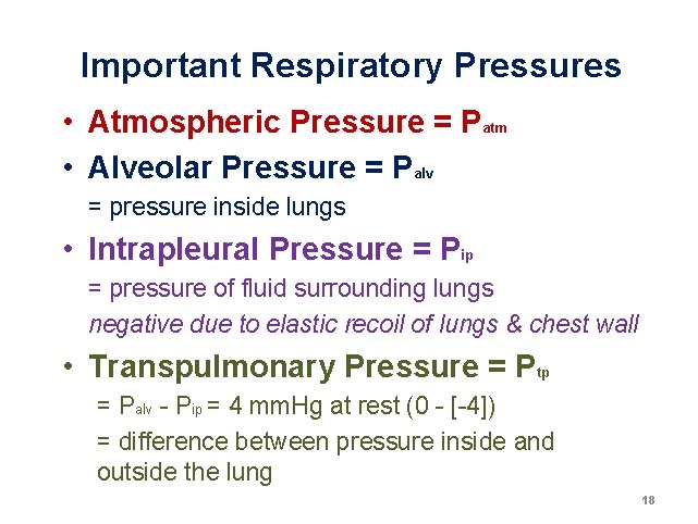 Important Respiratory Pressures • Atmospheric Pressure = Patm • Alveolar Pressure = Palv = Important Respiratory Pressures • Atmospheric Pressure = Patm • Alveolar Pressure = Palv =