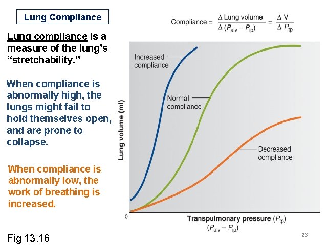 Lung Compliance Lung compliance is a measure of the lung’s “stretchability. ” When compliance Lung Compliance Lung compliance is a measure of the lung’s “stretchability. ” When compliance