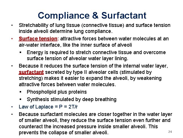 Compliance & Surfactant • • • Stretchability of lung tissue (connective tissue) and surface Compliance & Surfactant • • • Stretchability of lung tissue (connective tissue) and surface
