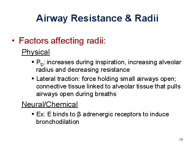 Airway Resistance & Radii • Factors affecting radii: Physical § Ptp: increases during inspiration, Airway Resistance & Radii • Factors affecting radii: Physical § Ptp: increases during inspiration,