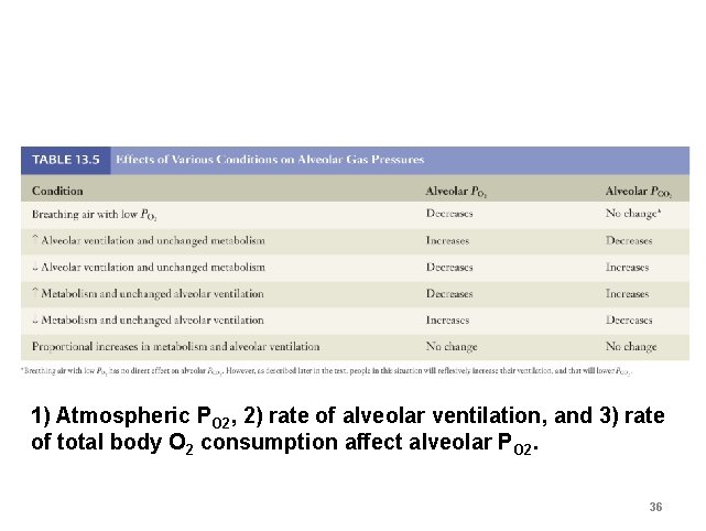 1) Atmospheric PO 2, 2) rate of alveolar ventilation, and 3) rate of total 1) Atmospheric PO 2, 2) rate of alveolar ventilation, and 3) rate of total