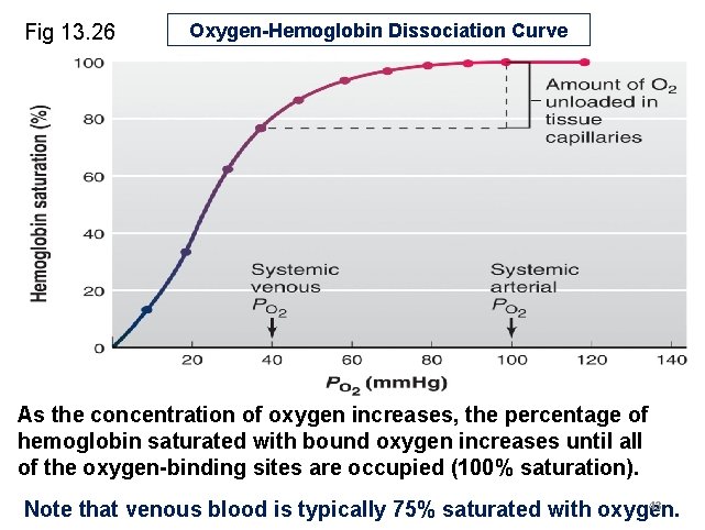 Fig 13. 26 Oxygen-Hemoglobin Dissociation Curve As the concentration of oxygen increases, the percentage Fig 13. 26 Oxygen-Hemoglobin Dissociation Curve As the concentration of oxygen increases, the percentage