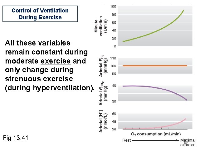 Control of Ventilation During Exercise All these variables remain constant during moderate exercise and Control of Ventilation During Exercise All these variables remain constant during moderate exercise and