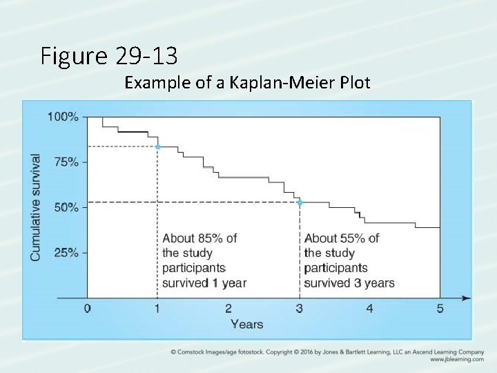 Figure 29 -13 Example of a Kaplan-Meier Plot 