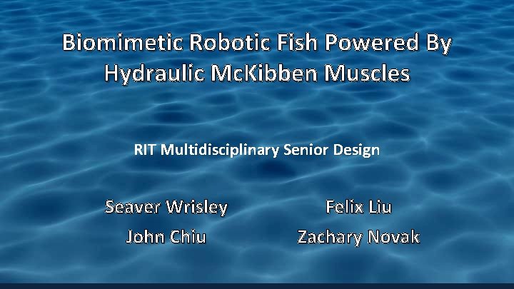 Biomimetic Robotic Fish Powered By Hydraulic Mc. Kibben Muscles RIT Multidisciplinary Senior Design Seaver