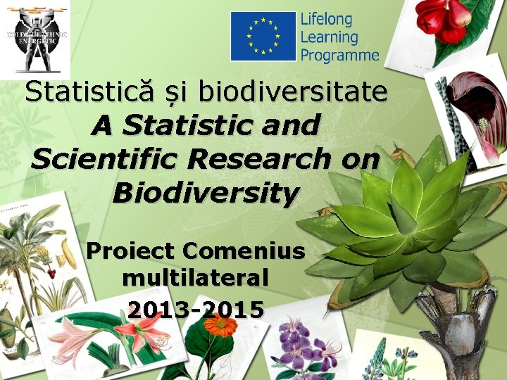 Statistică și biodiversitate A Statistic and Scientific Research on Biodiversity Proiect Comenius multilateral 2013