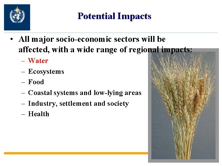 Potential Impacts • All major socio-economic sectors will be affected, with a wide range