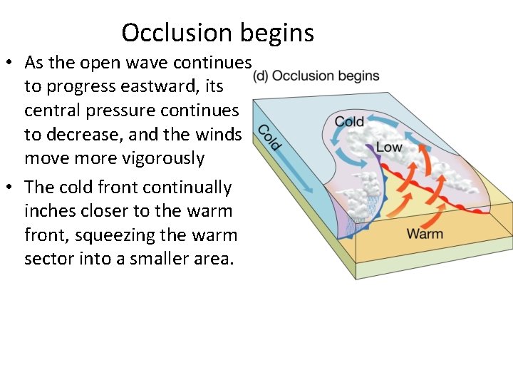 Occlusion begins • As the open wave continues to progress eastward, its central pressure