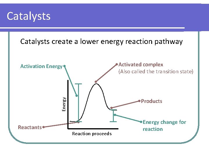Catalysts create a lower energy reaction pathway Activated complex (Also called the transition state)