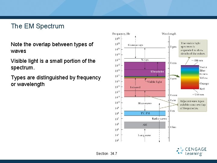 The EM Spectrum Note the overlap between types of waves Visible light is a