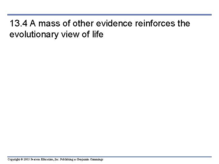 13. 4 A mass of other evidence reinforces the evolutionary view of life Copyright