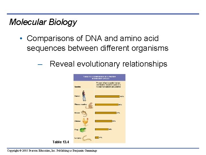 Molecular Biology • Comparisons of DNA and amino acid sequences between different organisms –