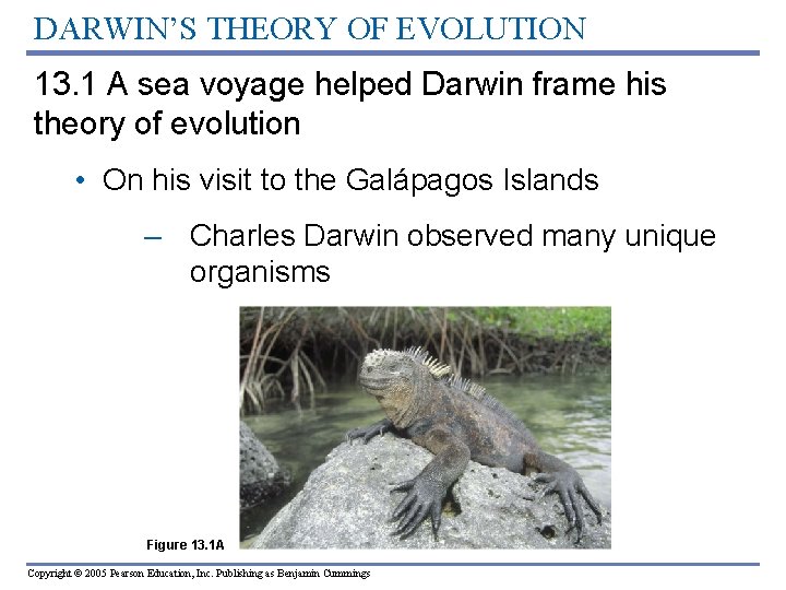 DARWIN’S THEORY OF EVOLUTION 13. 1 A sea voyage helped Darwin frame his theory