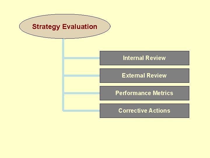 Strategy Evaluation Internal Review External Review Performance Metrics Corrective Actions 