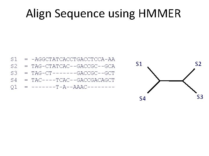 Align Sequence using HMMER S 1 S 2 S 3 S 4 Q 1