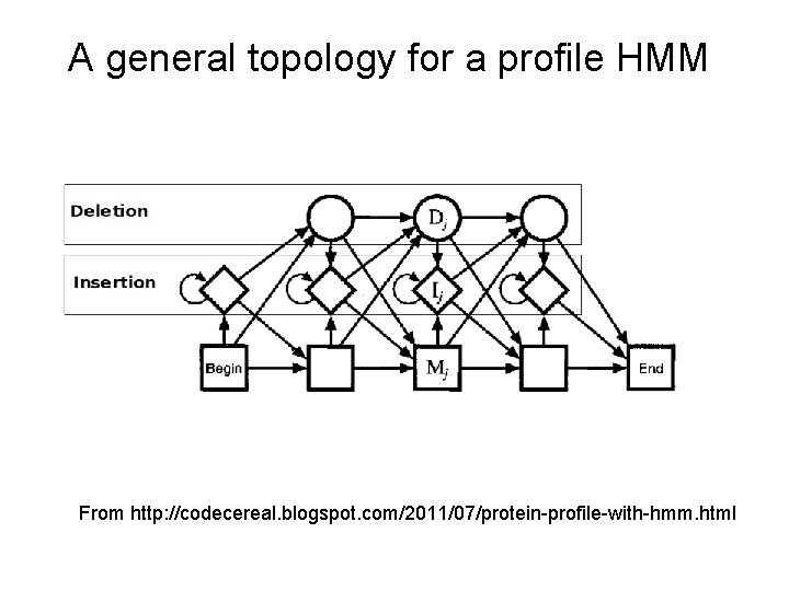 A general topology for a profile HMM From http: //codecereal. blogspot. com/2011/07/protein-profile-with-hmm. html 