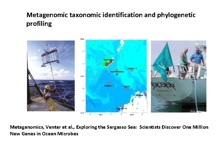 Metagenomic taxonomic identification and phylogenetic profiling Metagenomics, Venter et al. , Exploring the Sargasso