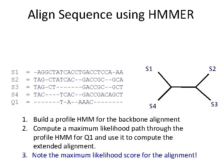 Align Sequence using HMMER S 1 S 2 S 3 S 4 Q 1