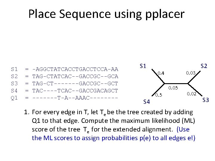 Place Sequence using pplacer S 1 S 2 S 3 S 4 Q 1